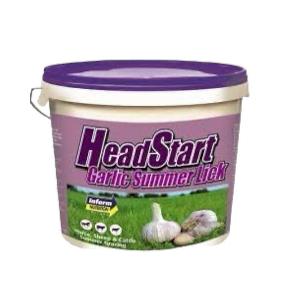 Headstart Summer Garlic 18kg
