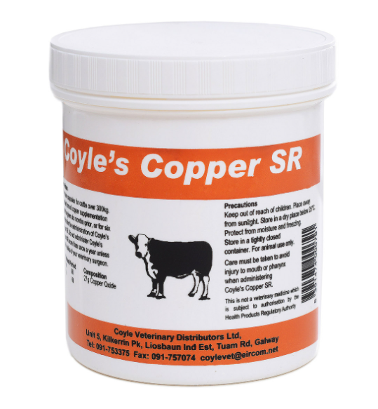 Coyle Copper 24's