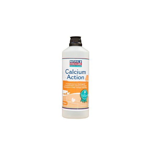 Calcium Action 1 Litre