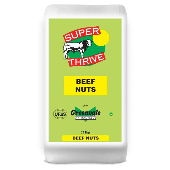 Super Thrive Beef Nuts